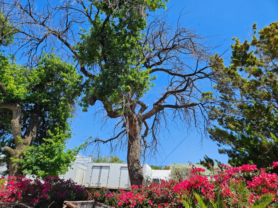 4 Bedroom Property for Sale in Prince Albert Western Cape